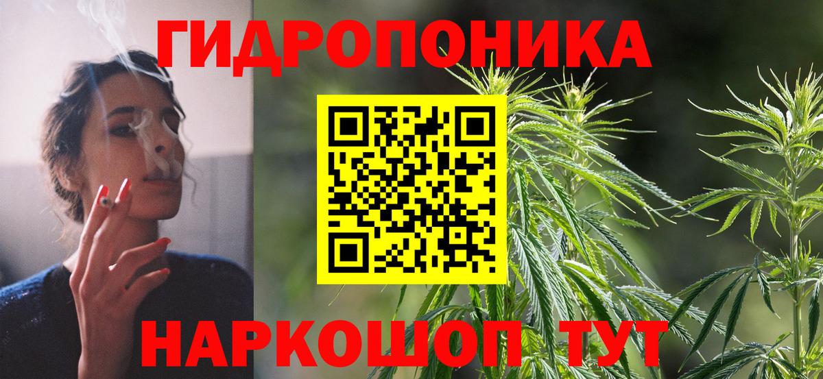 Шишки марихуана OG Kush  Марихуана OG Kush  Самара  Вход с VPN  Канабис White Widow 